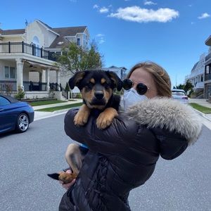 Meet your Posher, Sivan